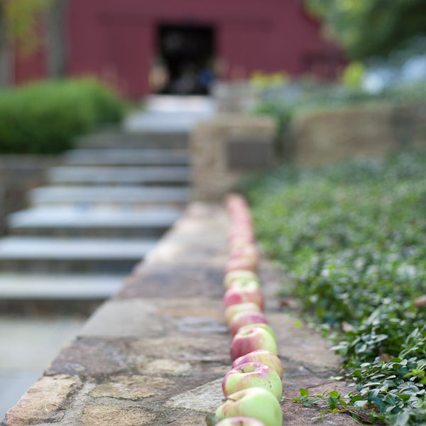 Behind the Scenes: Martha Stewart Living /