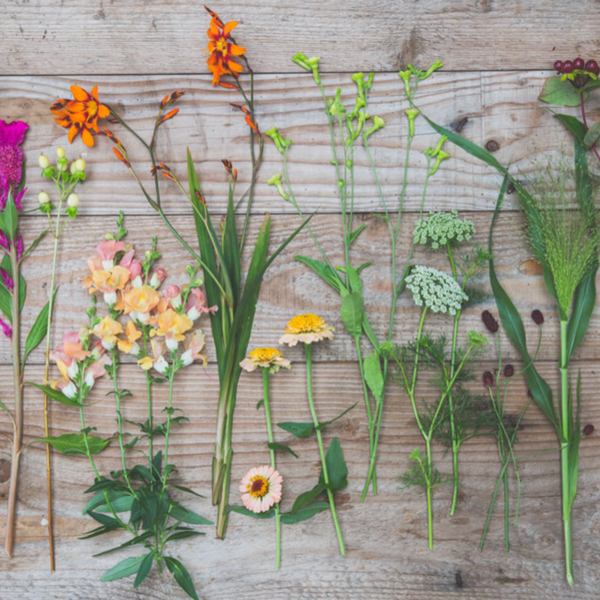 Where to Find the Best Bouquet of Flowers /