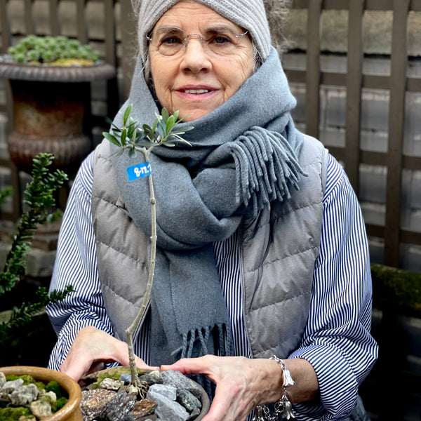 A Garden in the Clouds: Abbie Zabar /