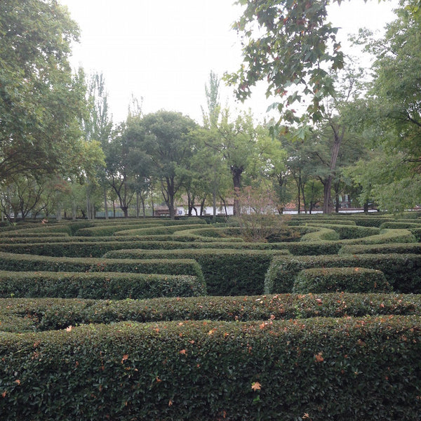 Hidden Garden: Surprise in Spain /