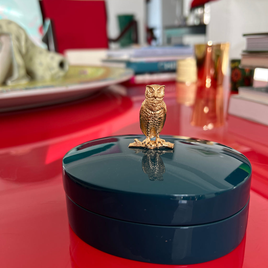 The Wise Box Bubo the owl