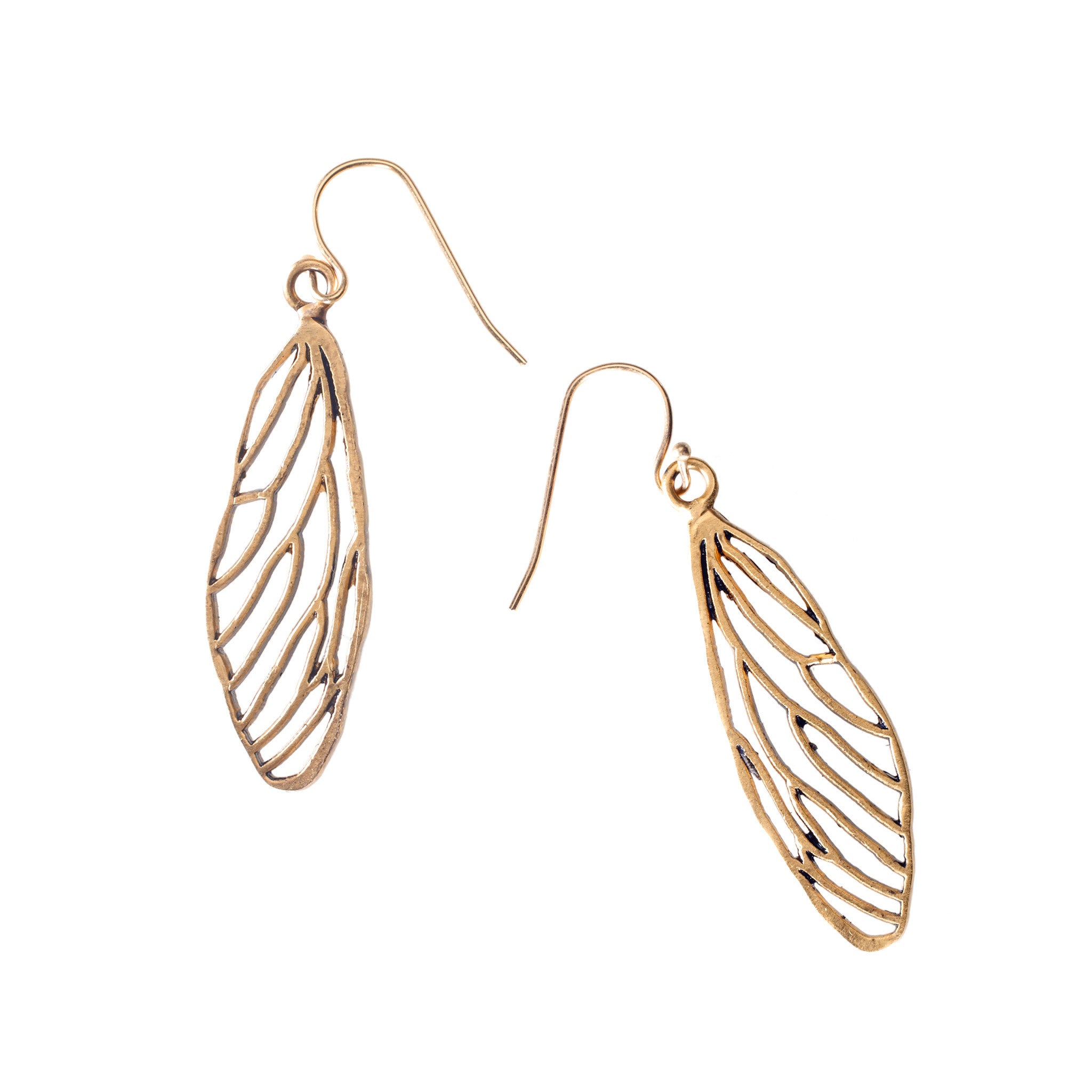 Cicada Wing Earrings – Janet Mavec